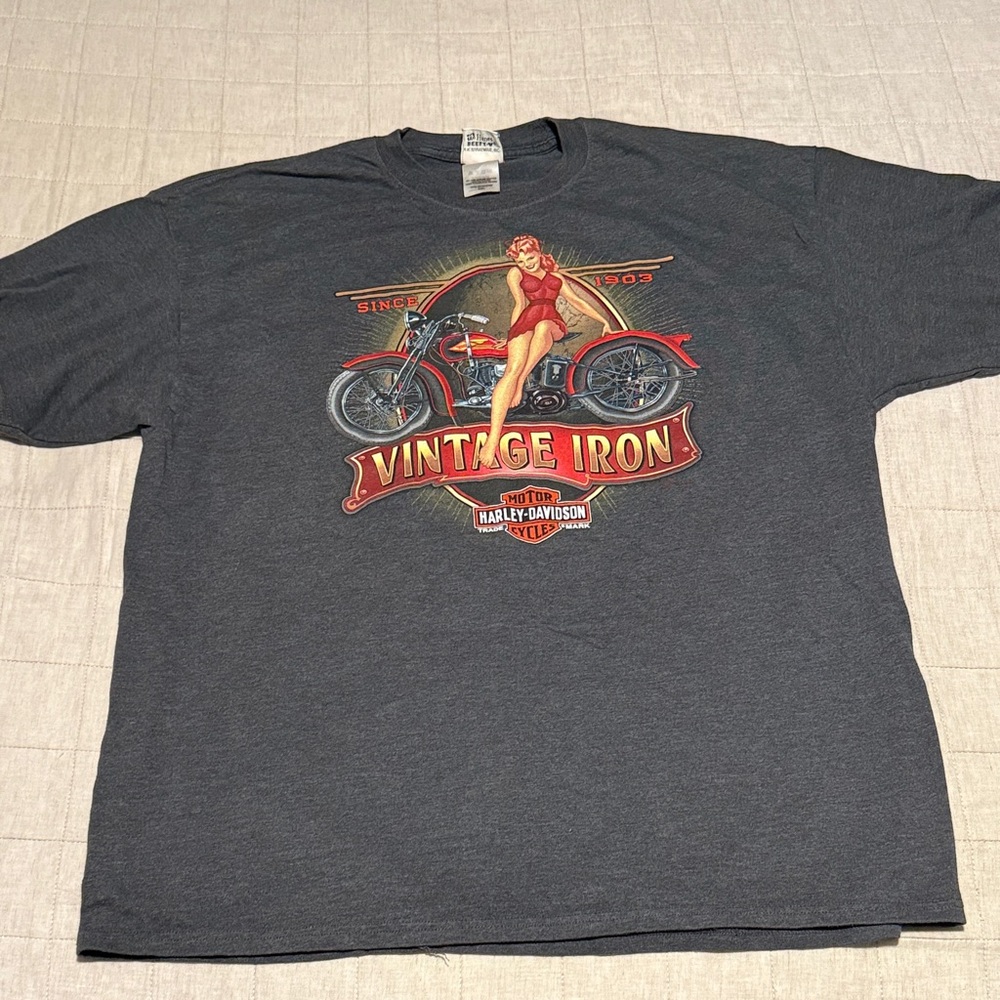 Harley-Davidson Charcoal Vintage Iron Tee